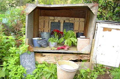Honesty box