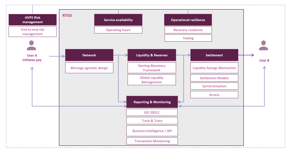 overview of the scope of services for the renewed RTGS service